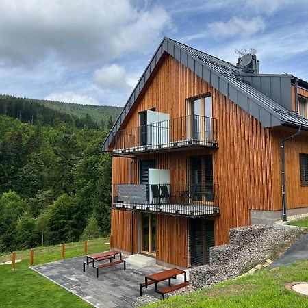 Apartman - Dolni Morava - "Sedmicka" Pro 2 Az 6 Osob Esterno foto