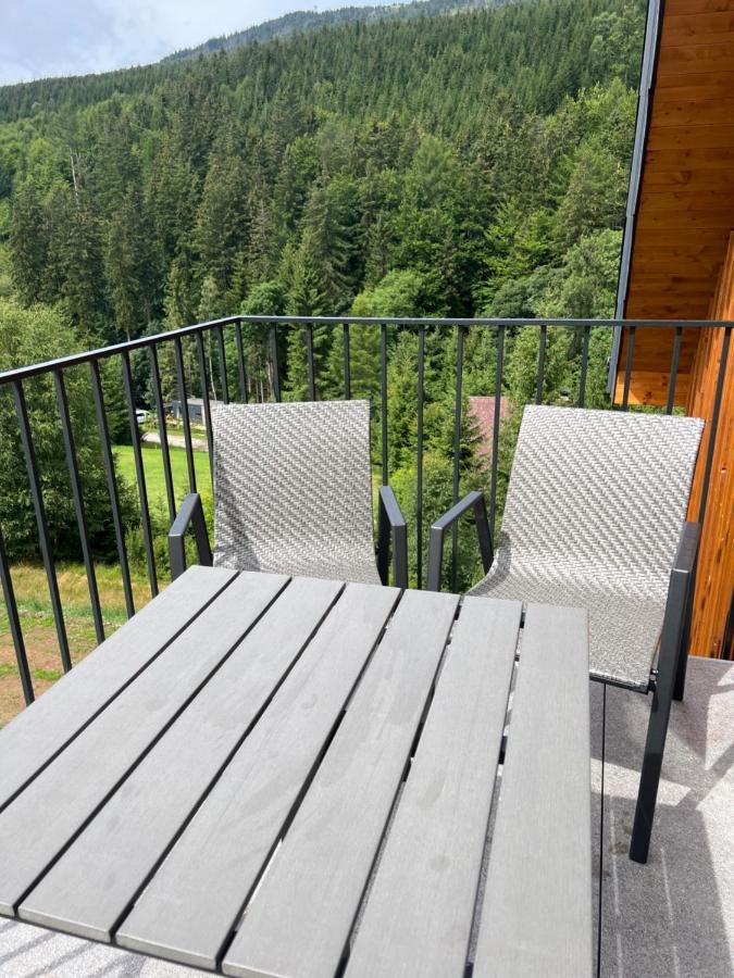 Apartman - Dolni Morava - "Sedmicka" Pro 2 Az 6 Osob Esterno foto