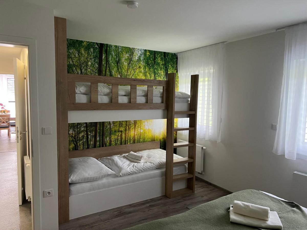 Apartman - Dolni Morava - "Sedmicka" Pro 2 Az 6 Osob Esterno foto